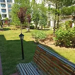 Rose в местност каваци, *