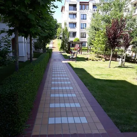 Rose в местност каваци, * سوزوبول